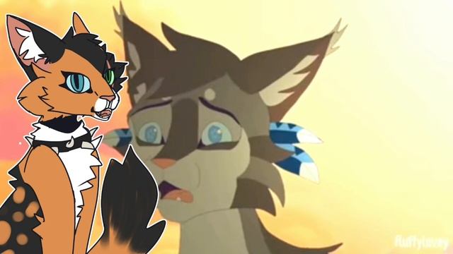 ~ Топ 5 котов воителей, которые должны были попасть в Звездное племя ~ #возрадимрукв