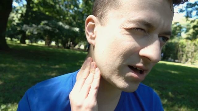 10 Самых Опасных Насекомых в России