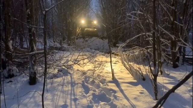 Пробиваем просеку в лесу бульдозером Т 130 Т 170.
