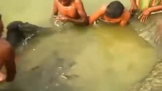 Ловля сетями, рыбалка волоком, бредни рыболовные