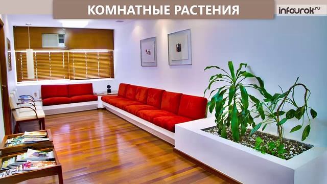 Комнатные растения