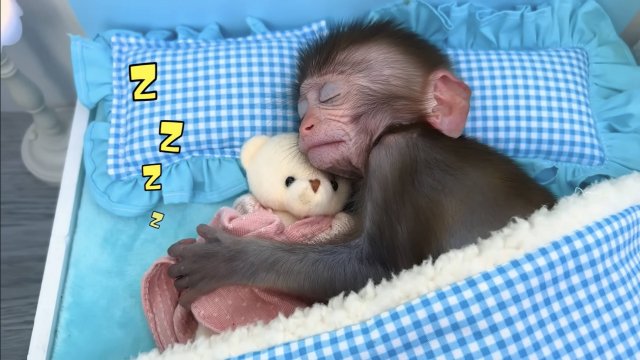Малыш Бон Бон спит с плюшевым мишкой и ест пиццу с щенком