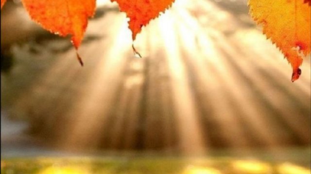 Пусть в этот день произойдут только замечательные события и радостные встречи