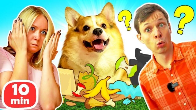Игры с корги — Выносим мусор и играем в прятки! Смешное видео для детей