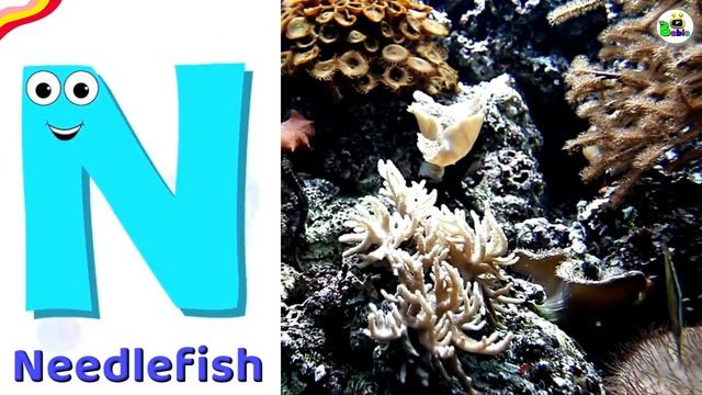 ABC Song | Sea Animals ABC Song | Phonics for Kids, Learn ABC, Baby @AllBabiesChannel