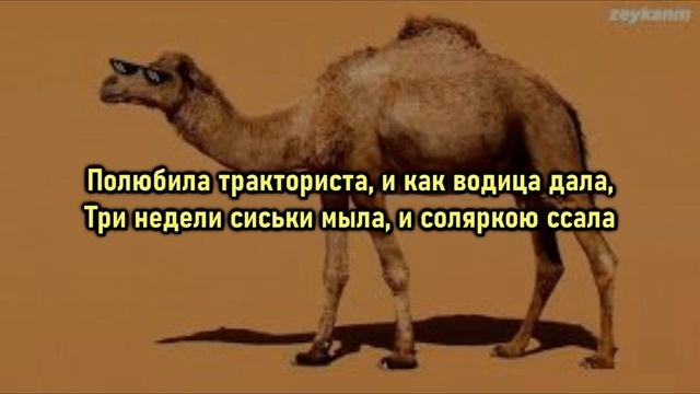 Азия Евразия - на горе стоит верблюд [текст песни/караоке]