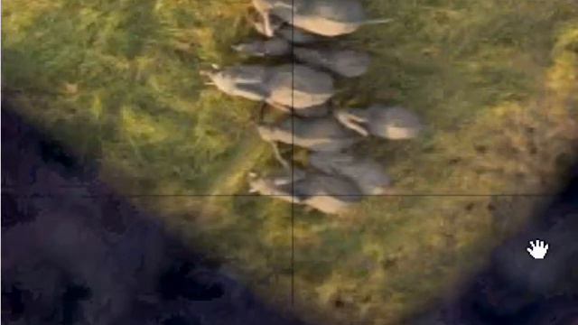 Google Earth Secrets 2: Google Earth Safari