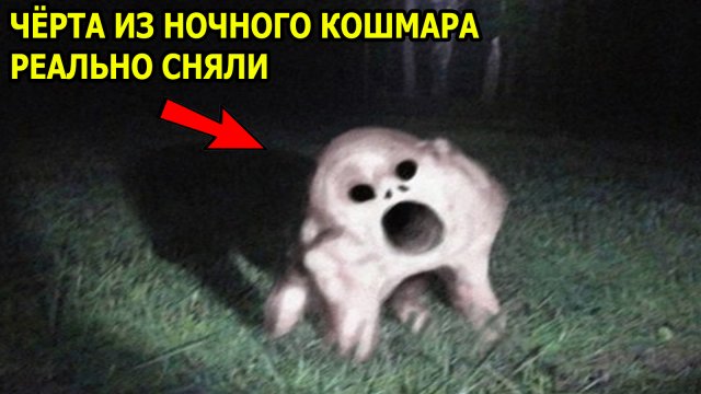 ЕГО ТАЩИЛИ ЗА НОГИ, ПОКА ОН СПАЛ. МИСТИКА. УЖАСЫ