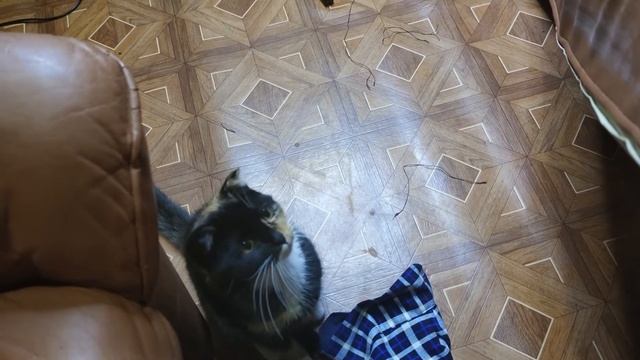 Восстанавливаем кожаный диван. Старая мебель. Бюджетный ремонт. Жидкая кожа. Реставрация кожи. 2021