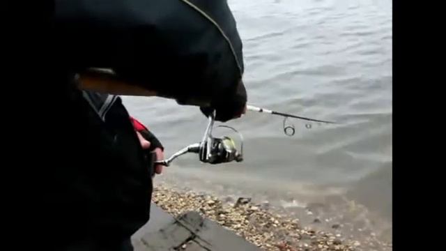 Техника ловли на отводной поводок Проводка
