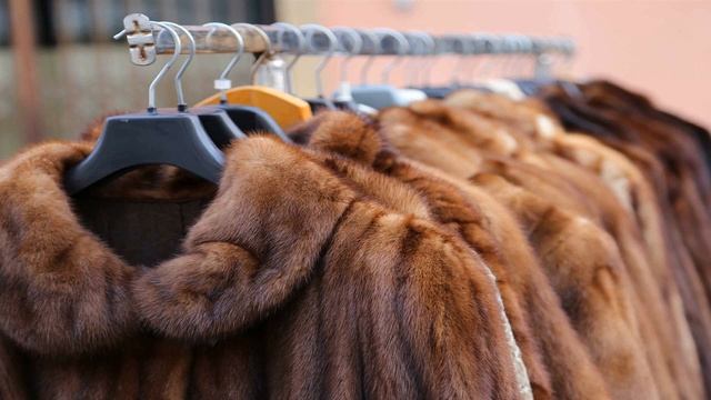 Как выбрать норковую шубу и определить качество меха правильно советы профессионалов