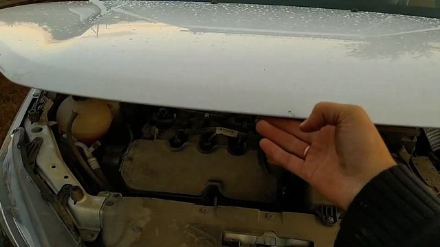 Газовые упоры Мавико на Весту