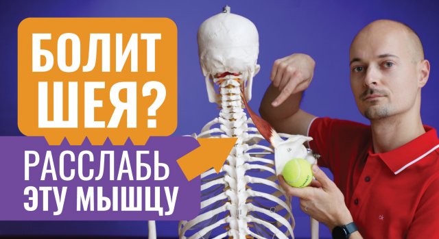 БОЛИТ ШЕЯ? Расслабь мышцу поднимающую лопатку | Самомассаж шеи | Йога для шеи
