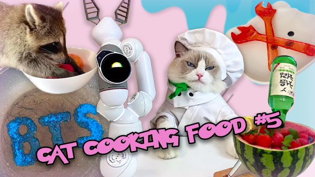 Кот готовит еду #5 (funny cat cooking actions) Рецепты от кота