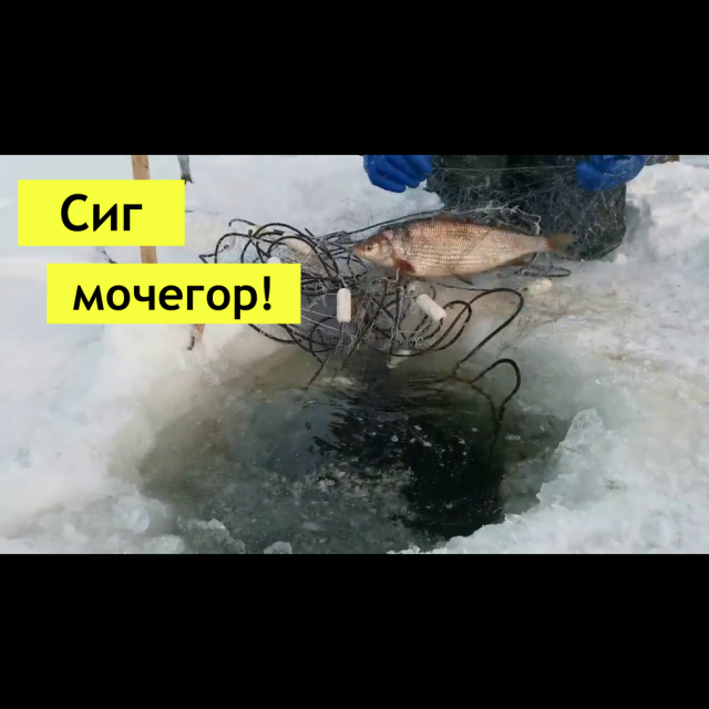 И снова крупный Сиг!!! И снова пурга!.mp4