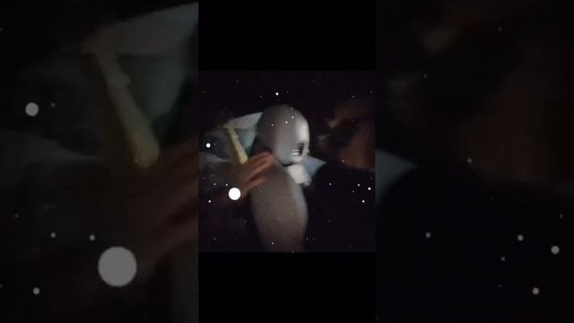 2_5375488154646099924.MP4