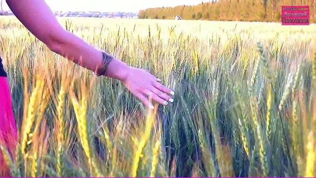 Ольга Дамбраускене - Перейти поле