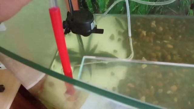 Сифон для аквариума своими руками.