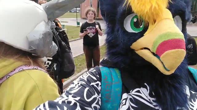 Большая фурри сходка в Битцевском парке