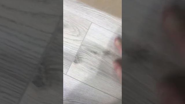 Отзыв о ламинате Joss Beaumont