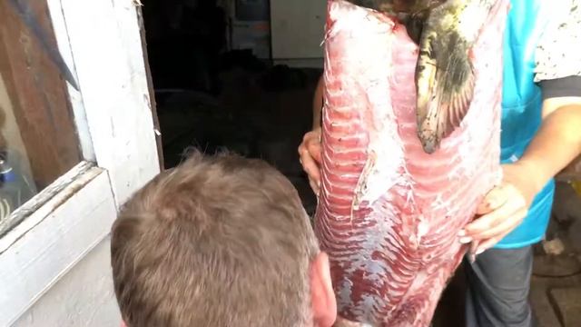 Снять шкуру с сома