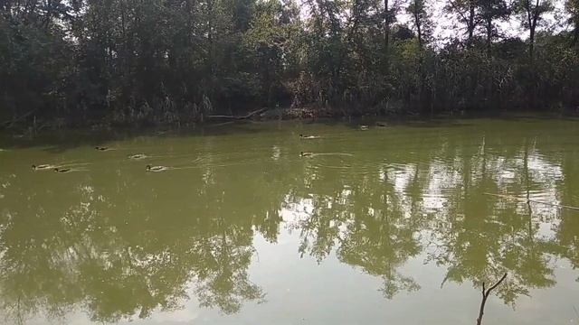 Щука на живца с берега, оснастка поплавочная удочка