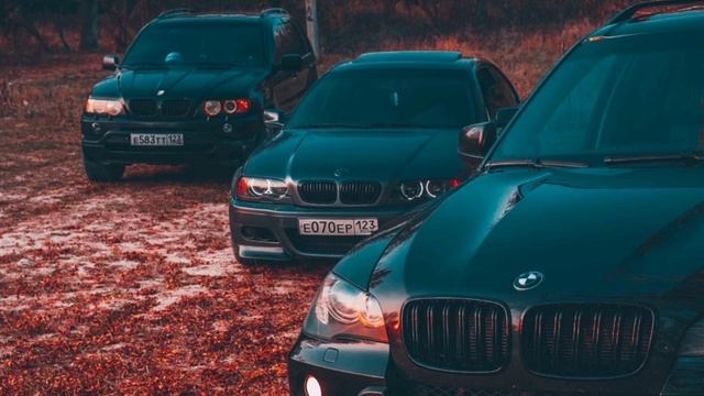 Трутень - кукушка✴
