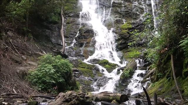 Кто напал на нас и для чего! С кем нам предстоит воевать!? | ГЛОГЕР 3 | ВАДИМ ШУЛЕПОВ Жизнь в Майям