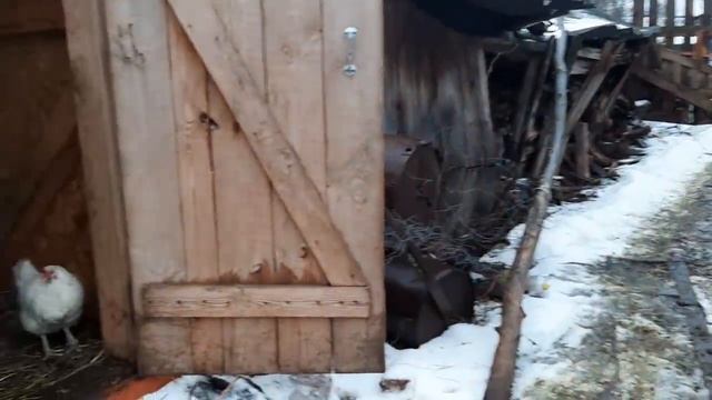 ДЕД МАТВЕЙ И КАНАЛ БЫТЬ ДОБРУ!!!