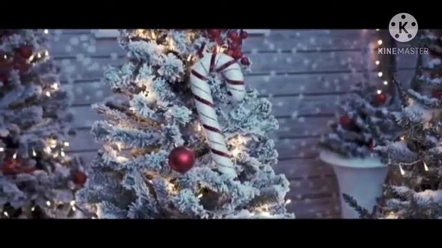 Новогодние чудеса