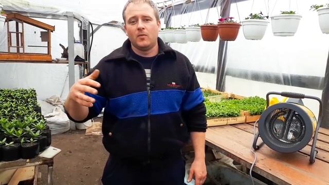 Обогрев теплицы тепловентилятором