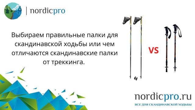 Палки для скандинавской ходьбы,  как выбрать правильные  и отличия скандинавских палок от треккинга
