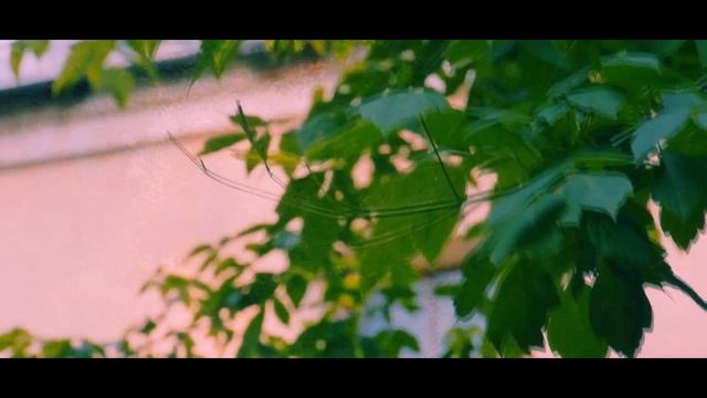 Владимир Соколов "Пластинка должна быть хрипящей..." Читает Павел Морозов