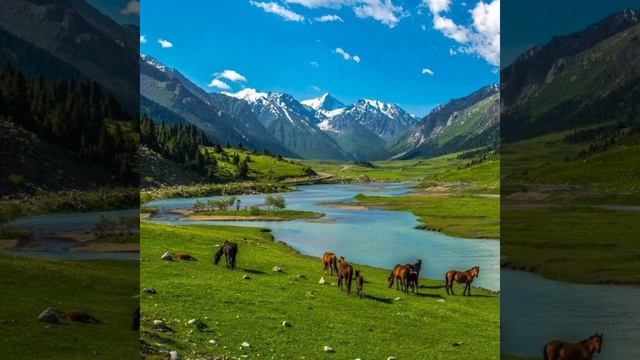 Биз Тобу ⭐хит ырлары 🎵Biz tobu