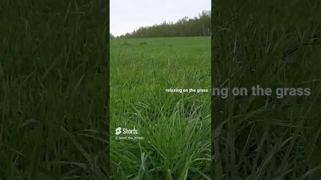 #путешествия #зелёный дворец
