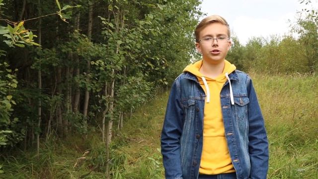 Лиза Алерт. Найден. Жив