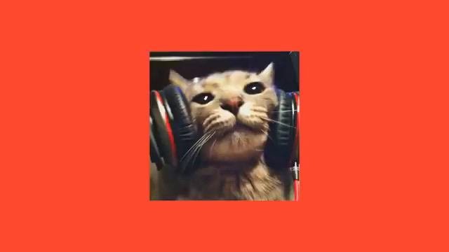 Speed(up)- Песни Егора Крида!🐱🤍