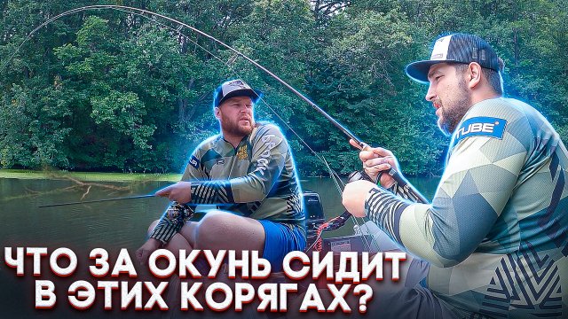 Люди у которых клюёт | Выпуск 41 | Что за окунь сидит в этих корягах?