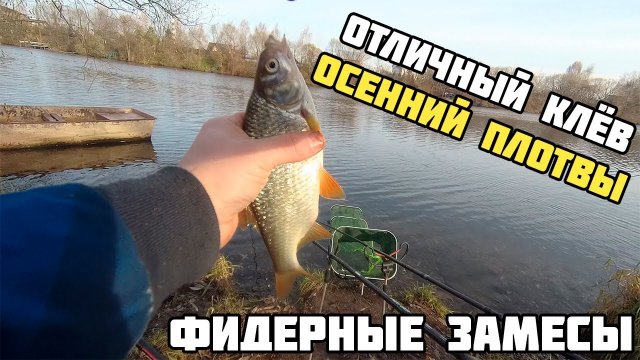 Осенняя плотва радует своими поклевками. Рыбалка на фидер на москве реке. Ловля плотвы на фидер