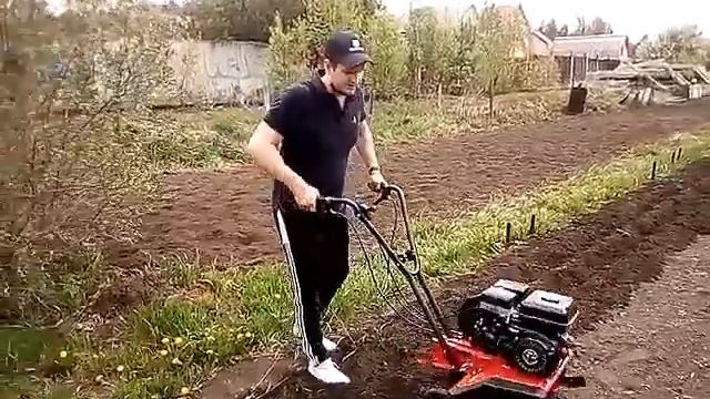Мотокультиватор brait 65 в работе