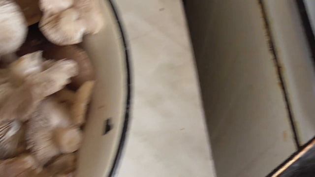 Грибы СЕРУШКИ МАРИНОВАННЫЕ ИЛИ ЖАРЕННЫЕ Как вкуснее.