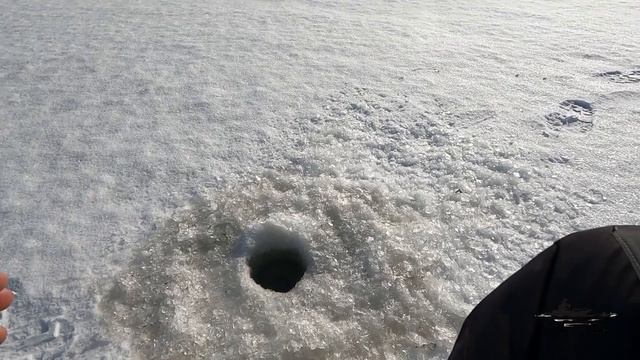 Зимняя ловля ПЛОТВЫ на ЧЕРТИКА ! УДАЧНАЯ рыбалка на БЕЗМОТЫЛКУ !