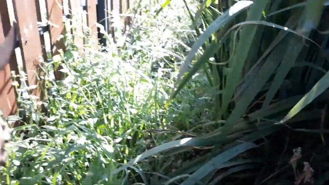 Я ЖИВУ В ДЕРЕВНЕ!!!❤❤❤