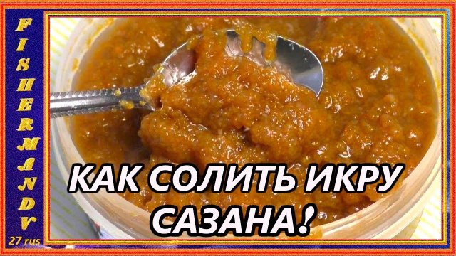 Икра сазана, как посолить икру речной рыбы, просто и вкусно!