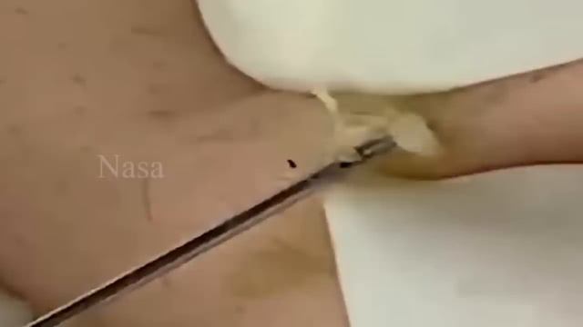 مهارة الحماية NASA168
