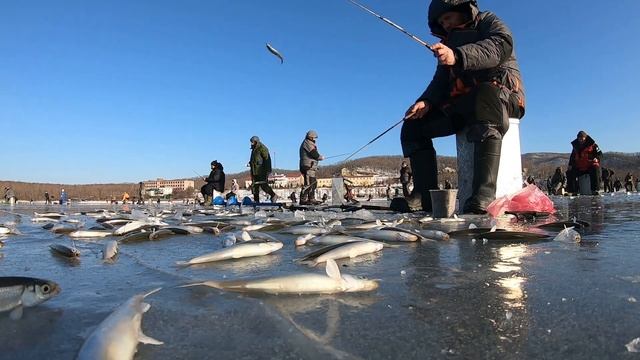 Зимняя рыбалка -ловля корюшки на махалки - Владивосток