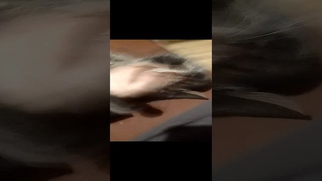 драка!!!
