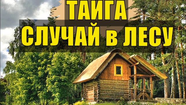 СЛУЧАЙ В ТАЙГЕ РАССКАЗ СЛЕДОВАТЕЛЯ из ЖИЗНИ ОТШЕЛЬНИКИ СУДЬБА ЧЕЛОВЕКА ЖИЗНЬ В ЛЕСУ ИЗБУШКА ЛЕСНИКА