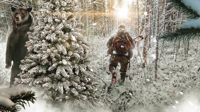 ЭТО МЕДВЕДЬ. ОТ ТАКОГО ДУХ ЗАХВАТЫВАЕТ. ЧТО Я УВИДЕЛ В ЛЕСУ. ХОДОВАЯ ОХОТА В ТАЙГЕ. ОХОТА ВПО 208.