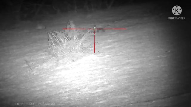 Sytong HT-60 LRF in action